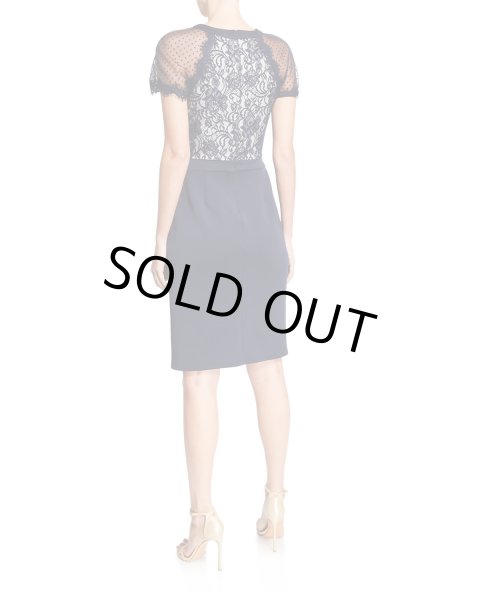 画像2: 【鷲見玲奈さん着用、家庭画報掲載】Tadashi Shoji タダシショージ Turri レースドレス ネイビー (2)