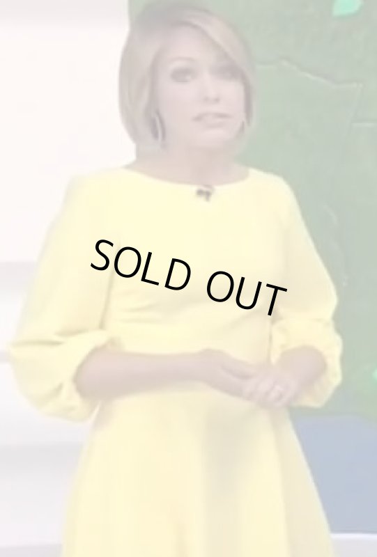 画像3: 【Dylan Dreyer着用】Eliza J 　バルーンスリーブドレス (3)