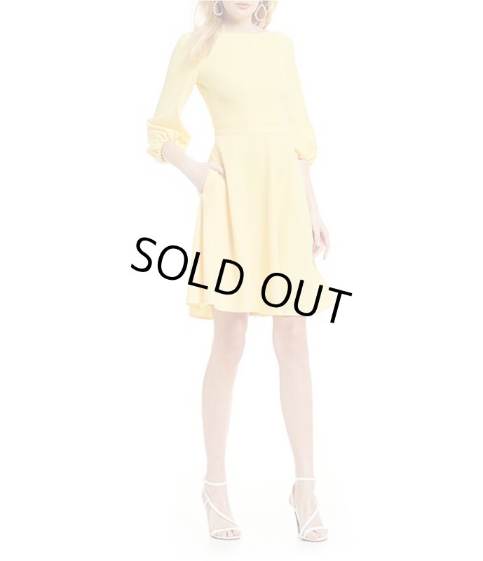 画像1: 【Dylan Dreyer着用】Eliza J 　バルーンスリーブドレス (1)