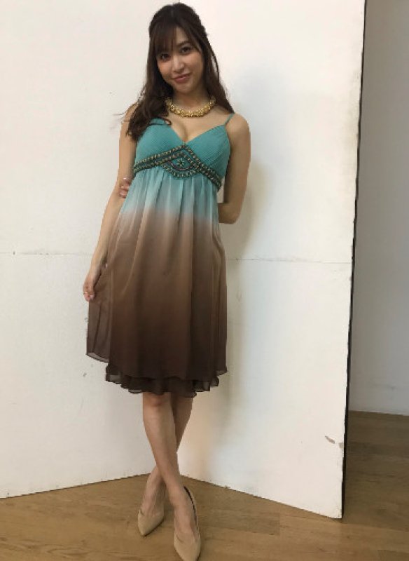 画像2: 【大島麻衣さんに衣装提供】Sue Wong ツートーングラデーションシフォンドレス (2)