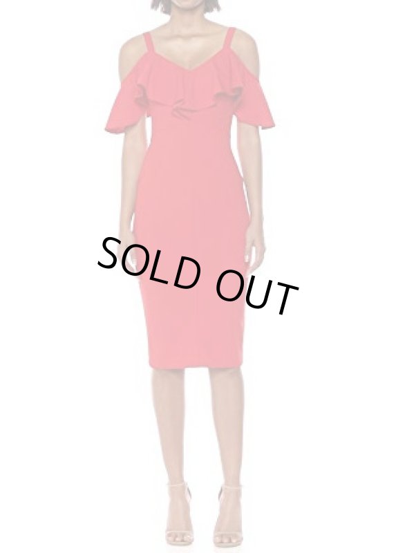 画像1: 【ドラマ使用】RACHEL Rachel Roy レイチェルロイ　Marcella Midi Dress  (1)