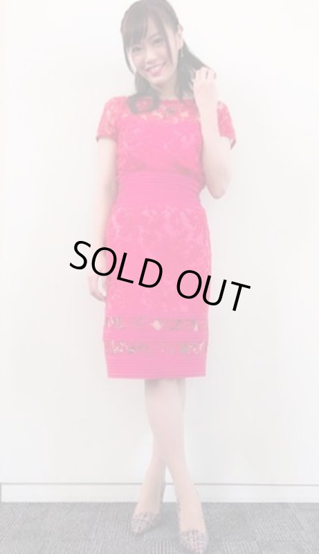 画像6: 再販売【婦人公論、小柳ルミ子さんに衣装提供】Tadashi Shoji タダシショージ    Embroidered Blouson Sheath Dress  (6)