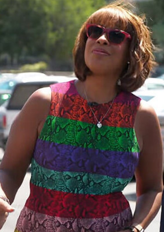 画像3: 【 ニッキーヒルトン愛用】Alice + Olivia アリスアンドオリビア　Delora Snake Print Stripe Sheath Dress  12118 (3)