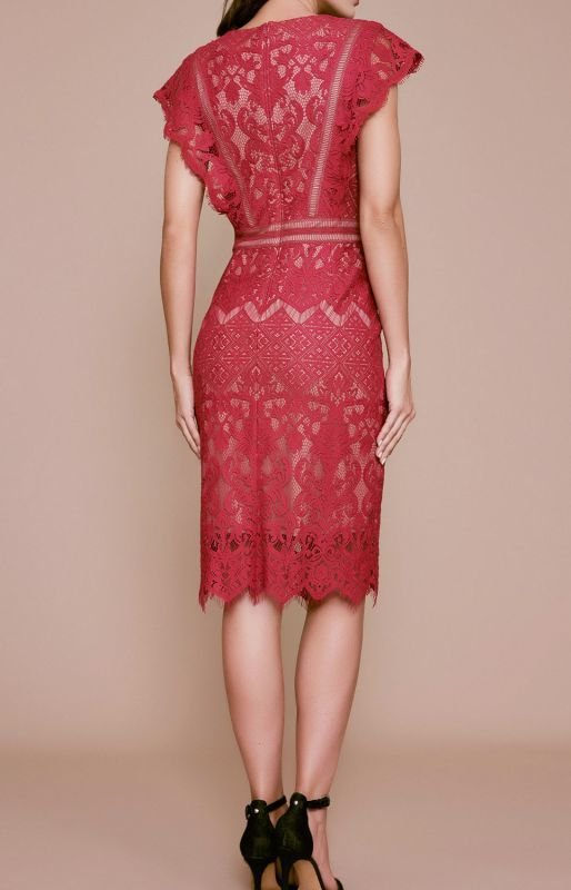 画像2: 【25ans掲載 滝沢カレンさん、アンミカさん、徳島えりかさん、鷲見玲奈さん着用】Tadashi Shoji  タダシショージ  　Lur Sleeveless Lace Dress　ピンク系 (2)