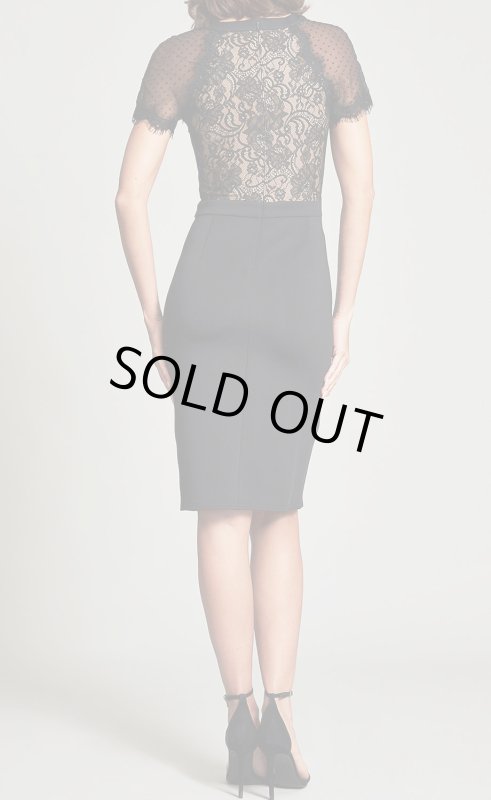 画像2: 【鷲見玲奈さん着用、家庭画報掲載】Tadashi Shoji タダシショージ   Turri レースドレス　ブラック (2)