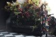 画像5: 【桐谷美玲さん着用】Alice + Olivia アリスアンドオリビア　 Karen dress (5)