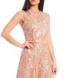 画像3: Tadashi Shoji  タダシショージ　Sequin Embroidered Corded Lace Midi Dress ピンク系 (3)