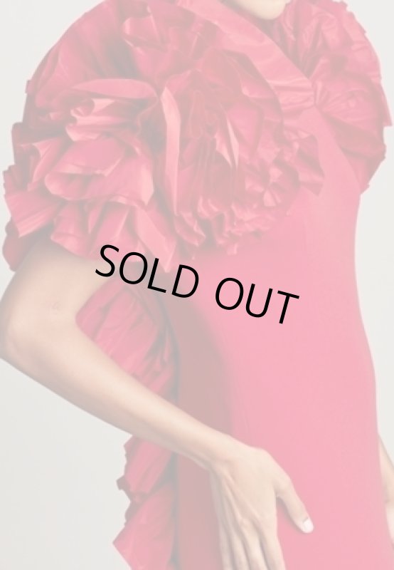 画像4: セール！Tadashi Shoji  タダシショージ  SERENAY  ラッフルタフタGOWN レッド (4)