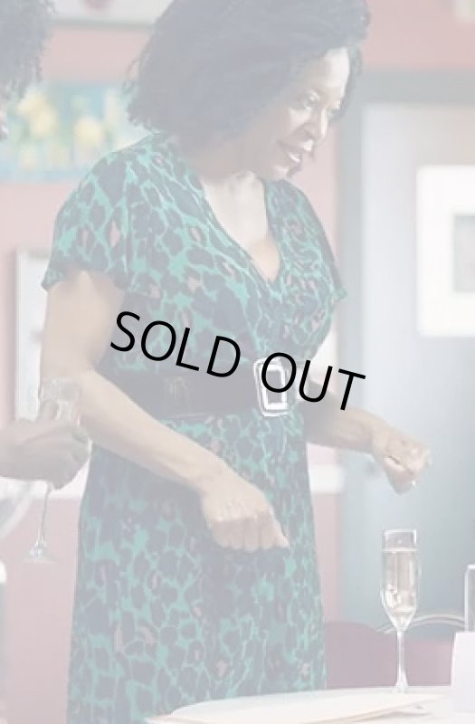 画像4: 【ドラマ使用】Diane von Furstenberg　ダイアンフォンファステンバーグ　cecilia midi dress レオパード (4)