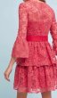 画像2: ML Monique Lhuillier モニークルイリエ  Embellished Lace Rose Dress (2)