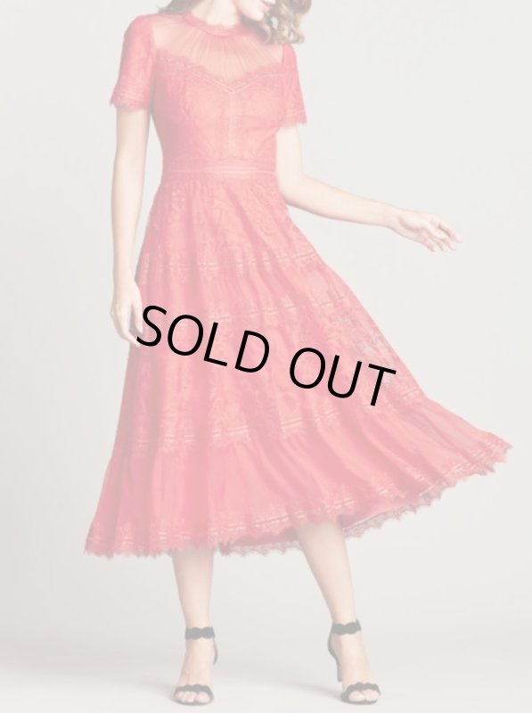 画像1: 【限定色】Tadashi Shoji タダシショージ   camilla Lace Tea-Length ドレス  レッド系  12245 (1)