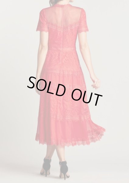 画像2: 【限定色】Tadashi Shoji タダシショージ   camilla Lace Tea-Length ドレス  レッド系  12245 (2)