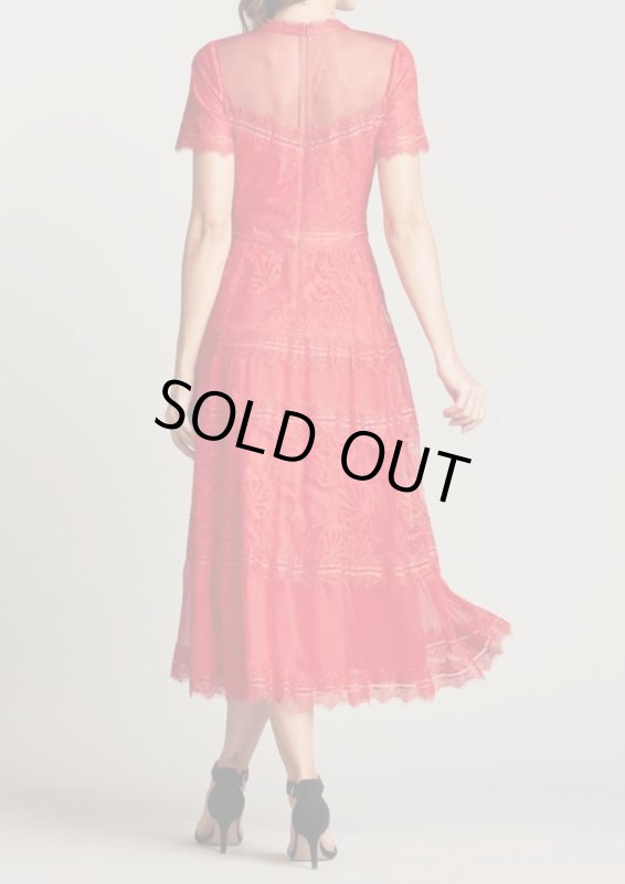 画像2: 【限定色】Tadashi Shoji タダシショージ   camilla Lace Tea-Length ドレス  レッド系  12245 (2)