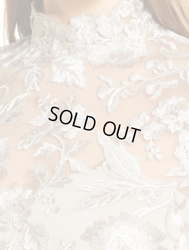 画像3: Tadashi Shoji タダシショージ  QARA EMBROIDERED GOWN　ベージュ系 (3)