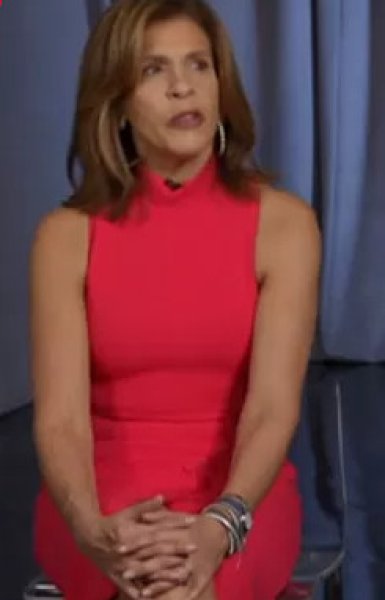 画像3: セール！【Hoda Kotb愛用】Black Halo 　 Sofie Sheath Dress 　ピンク系 (3)