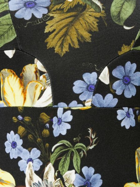 画像3: セール!Erdem アーデム Varo Passion print Grazia dress (3)