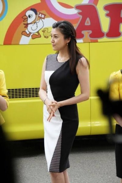 画像5: 【藤原紀香さん愛用、ドラマ「BONES」使用】Milly ミリー Mesh-Detail Helix Sheath Dress (5)