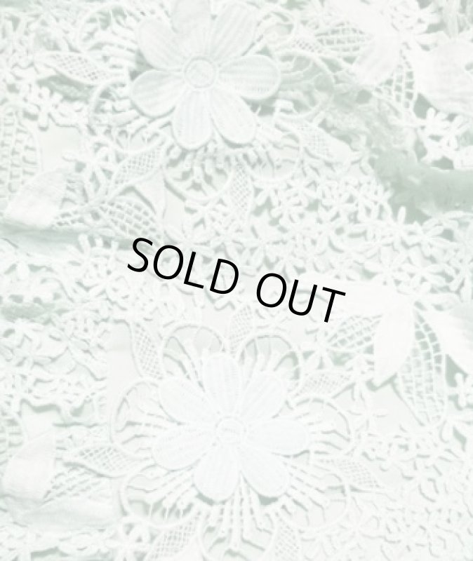 画像3: 【東京ガールズコレクション使用】Self Portrait　セルフポートレート　Mint 3D Guipure Lace Midi Dress  41906 (3)