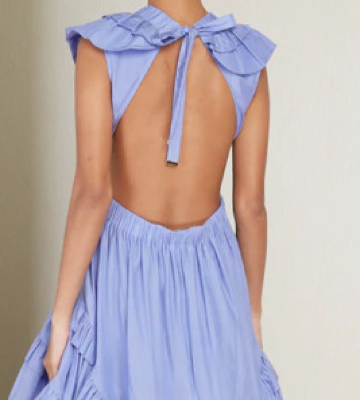 画像5: 再販売！【エミリー、パリへ行く】Magali Pascal マガリパスカル  ボタニックドレス  20601 (5)