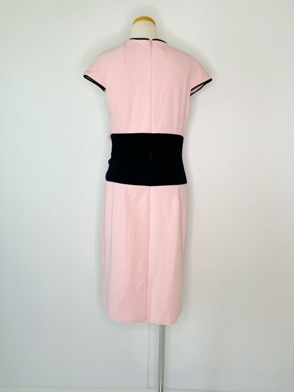 画像10: 1点のみ即発！【アンミカさん着用】Tadashi Shoji   タダシショージ　ウエストリボンカクテルドレス　ピンク系  10181 (10)