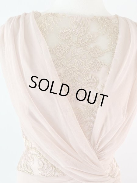 画像7: 1点のみ即発!Tadashi Shoji タダシショージ   Mesh & Corded Lace Gown ピンク系 (7)