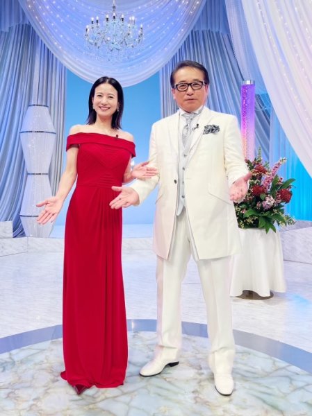 画像3: 【馬場典子さんに衣装協力】Adrianna Papell アドリアナパペル  Pleated Pintuck Evening Dress  10104 (3)