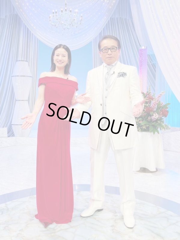 画像1: 1点のみ即発！【馬場典子さんに衣装協力】Adrianna Papell アドリアナパペル 　Pleated Pintuck Evening Dress  10104 (1)