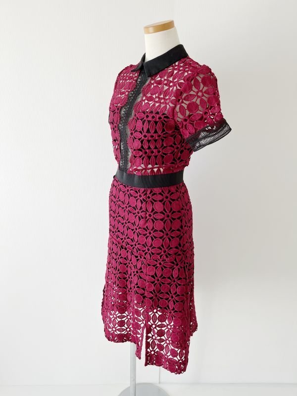 画像5: 再入荷！即発【ドラマ、伊藤美来さんに衣装協力】Self Portrait　　 Guipure-Lace Dress　Burgundy  12311 (5)