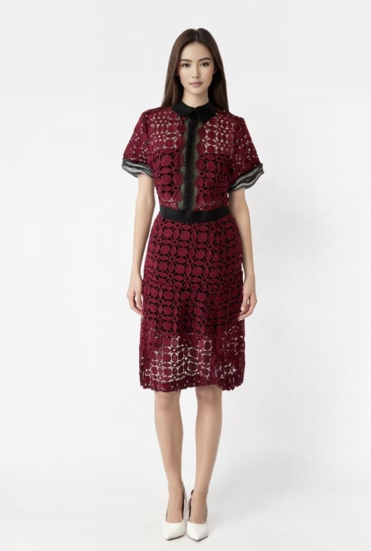 画像2: 再入荷！即発【ドラマ、伊藤美来さんに衣装協力】Self Portrait　　 Guipure-Lace Dress　Burgundy  12311 (2)