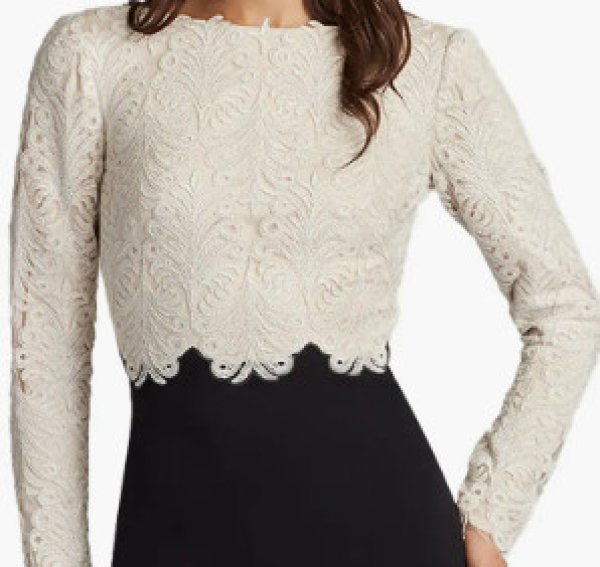 画像2: Tadashi Shoji  タダシショージ BADEN TWO-TONE EMBROIDERED TULLE GOWN ブラック・アイボリー (2)