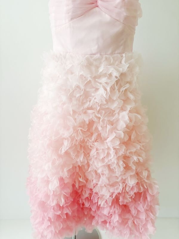 画像5: 再販売！【生見愛瑠さんに衣装提供、NiziU アヤカさん着用】 Marchesa Notte マルケッサノッテ　グラデーションチュールドレス　ピンク  12501 (5)
