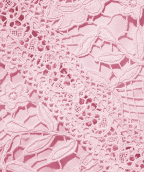 画像3: Self Portrait　セルフポートレート　PINK ROSE LACE MIDI DRESS (3)