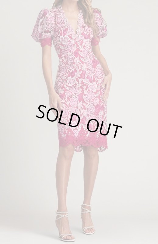 画像1: Tadashi Shoji  タダシショージ  　ROWAN DRESS ピンク系 (1)