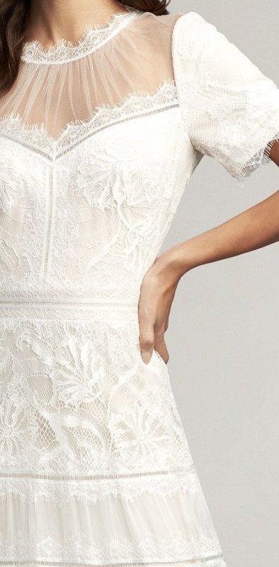 画像2: Tadashi Shoji タダシショージ   camilla Lace Tea-Length ドレス  アイボリー系  02132 (2)