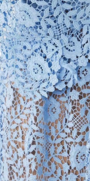 画像3: Self Portrait セルフポートレート  blue rose lace maxi dress (3)