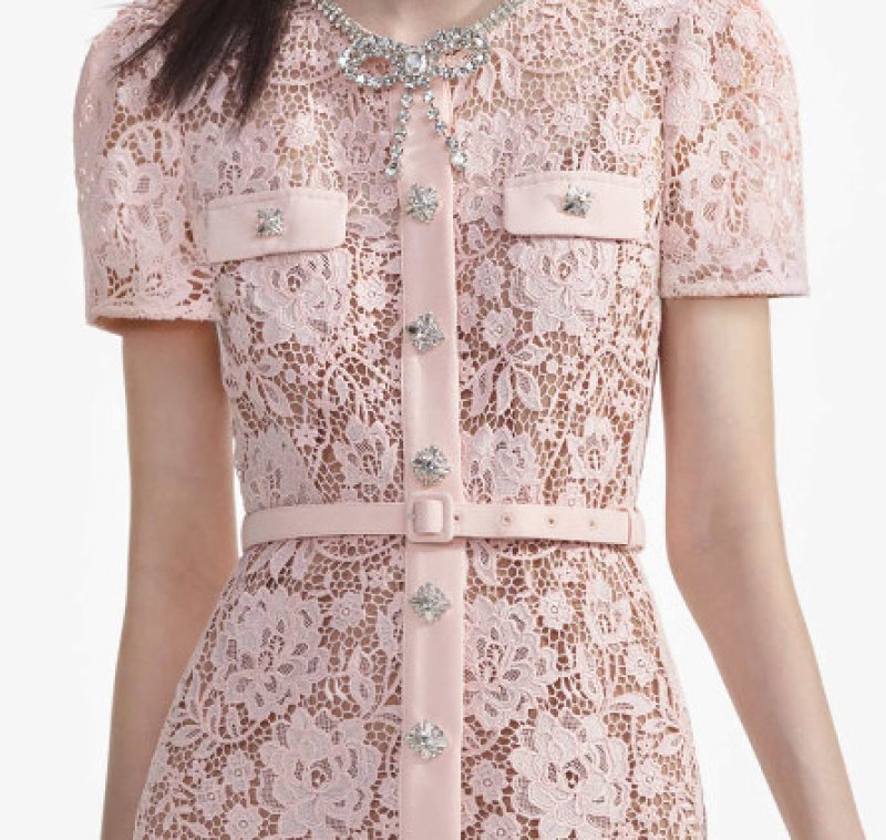 画像4: 【パリスヒルトン愛用】Self Portrait　セルフポートレート　Pink Lace Diamante Bow Midi Dress  02207 (4)