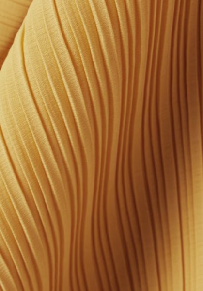 画像3: 【カーラサンタナ愛用】Solace London ソレイスロンドン Adami plisse-effect dress イエロー  01234 (3)