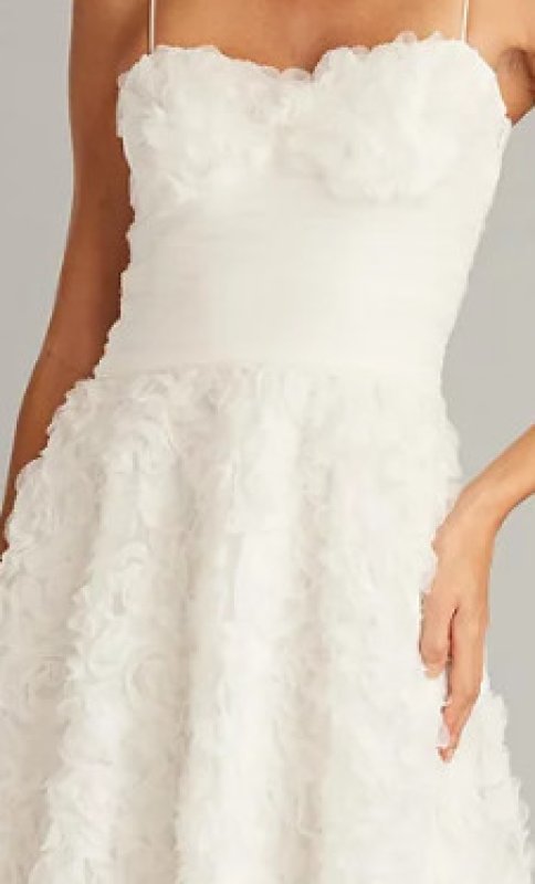 画像4: セール！Tadashi Shoji タダシショージ   Greer ロゼットアップリケドレス　ホワイト系  02131 (4)