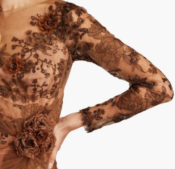 画像4: セール！Tadashi Shoji  タダシショージ　Silvia Embroidered Illusion Gown　ブラウン系  08243 (4)