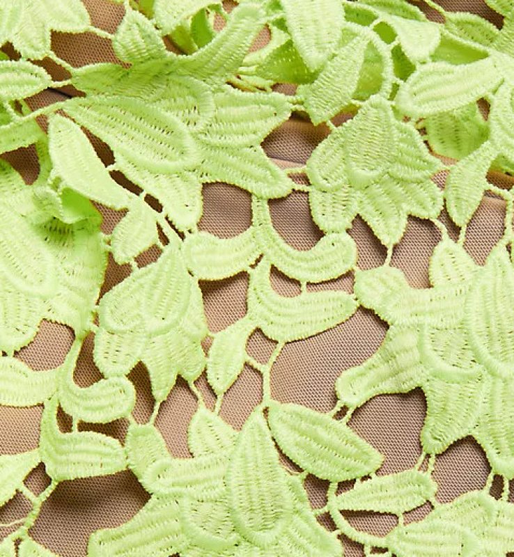 画像3: 【セレブ多数愛用】Self Portrait　セルフポートレート　Azaelea Dress ライトグリーン系  43001 (3)