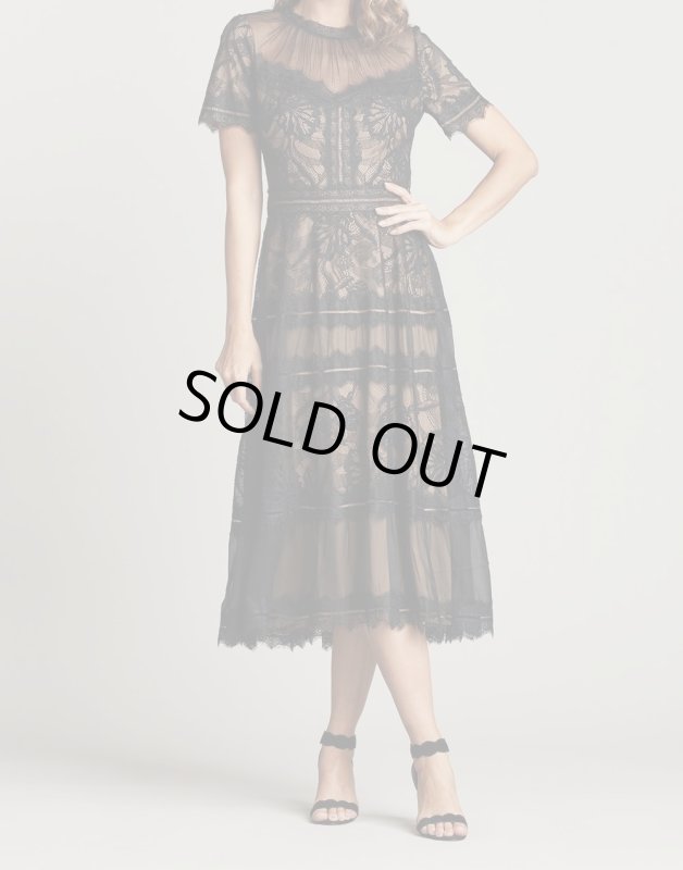 画像4: 1点のみ即発！Tadashi Shoji タダシショージ   camilla Lace Tea-Length ドレス　ブラック (4)