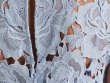 画像4: Self Portrait　セルフポートレート　blue floral lace cocktail dress (4)