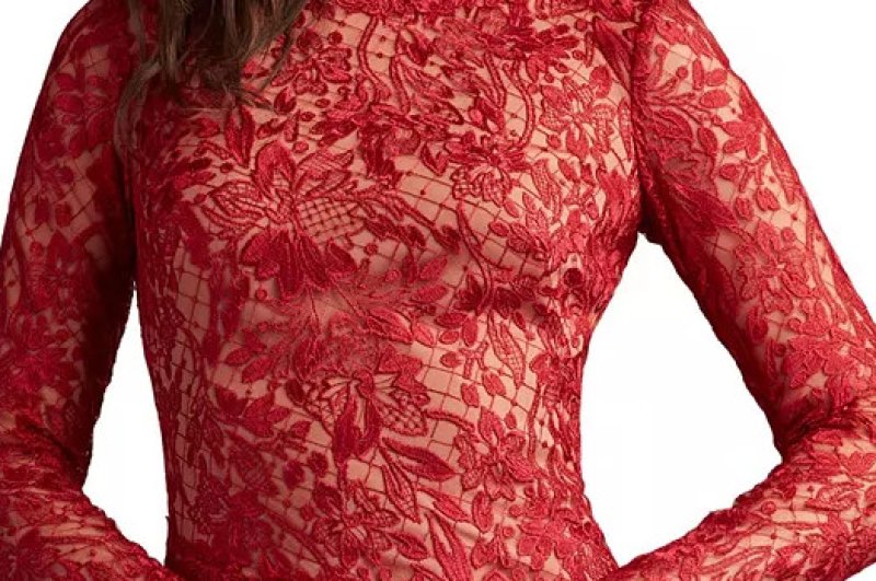 画像4: Tadashi Shoji  タダシショージ   Sorrell Embroidered Crepe Gown  レッド  13801 (4)