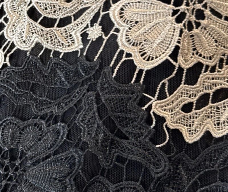 画像3: 【釈由美子さんに衣装協力】Calvin Klein ツートーンレース ロングドレス｜ノースリーブ・ラウンドネック (3)