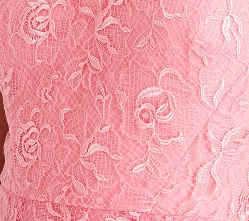 画像5: ML Monique Lhuillier Linda Lace Maxi Dress｜総レース ロングドレス ピンク (5)