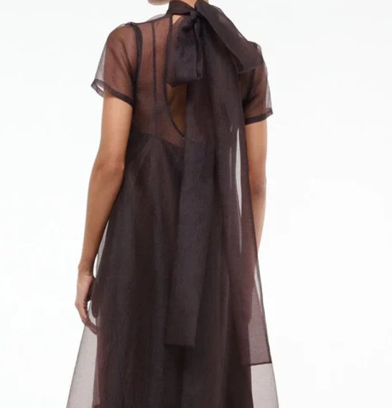 画像3: STAUD スタウド　Calluna オーガンジーマキシドレス｜ブラウン シアーロングドレス (3)