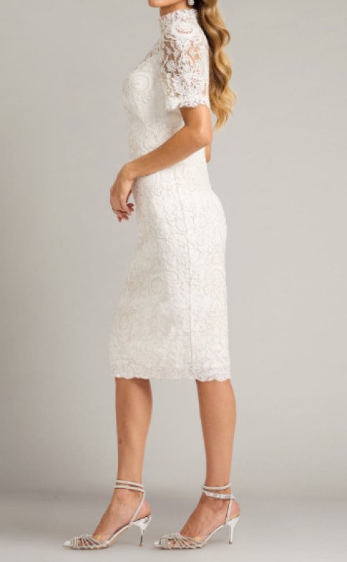 画像3: Tadashi Shoji タダシショージ  Marise イリュージョンレースドレス　 アイボリー｜パーティー・フォーマル膝丈 (3)