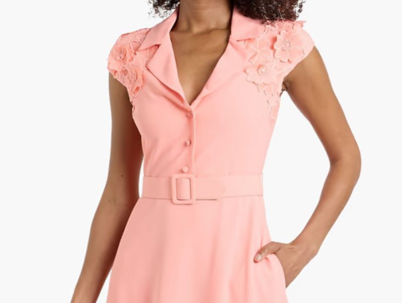 画像4: BADGLEY MISCHKA 　ギュピールレースワンピース ピンク ベルト付き　 お呼ばれ・フォーマル対応 (4)