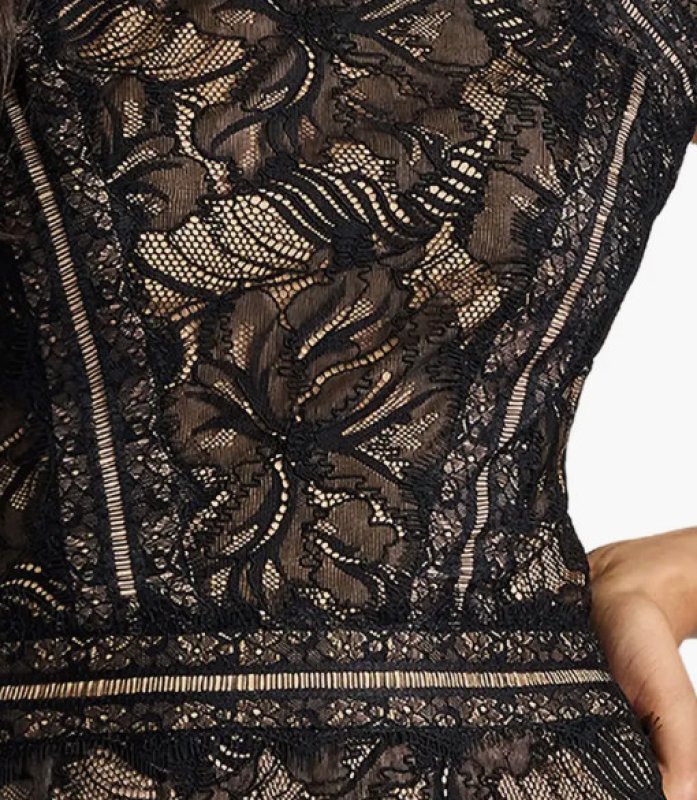 画像4: Tadashi Shoji タダシショージ Ahern Orchid Lace Gown ブラック (4)