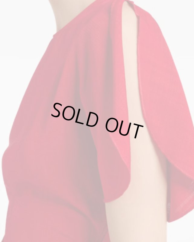 画像4: 【ドラマ使用】VICTORIA BECKHAM  ヴィクトリアベッカム  Gathered Waist Dress レッド (4)